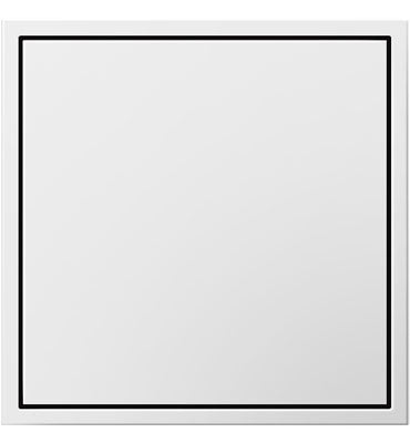 Legrand adorne 15A Two-Gang Pop-Out Outlet Receptacles Legrand White