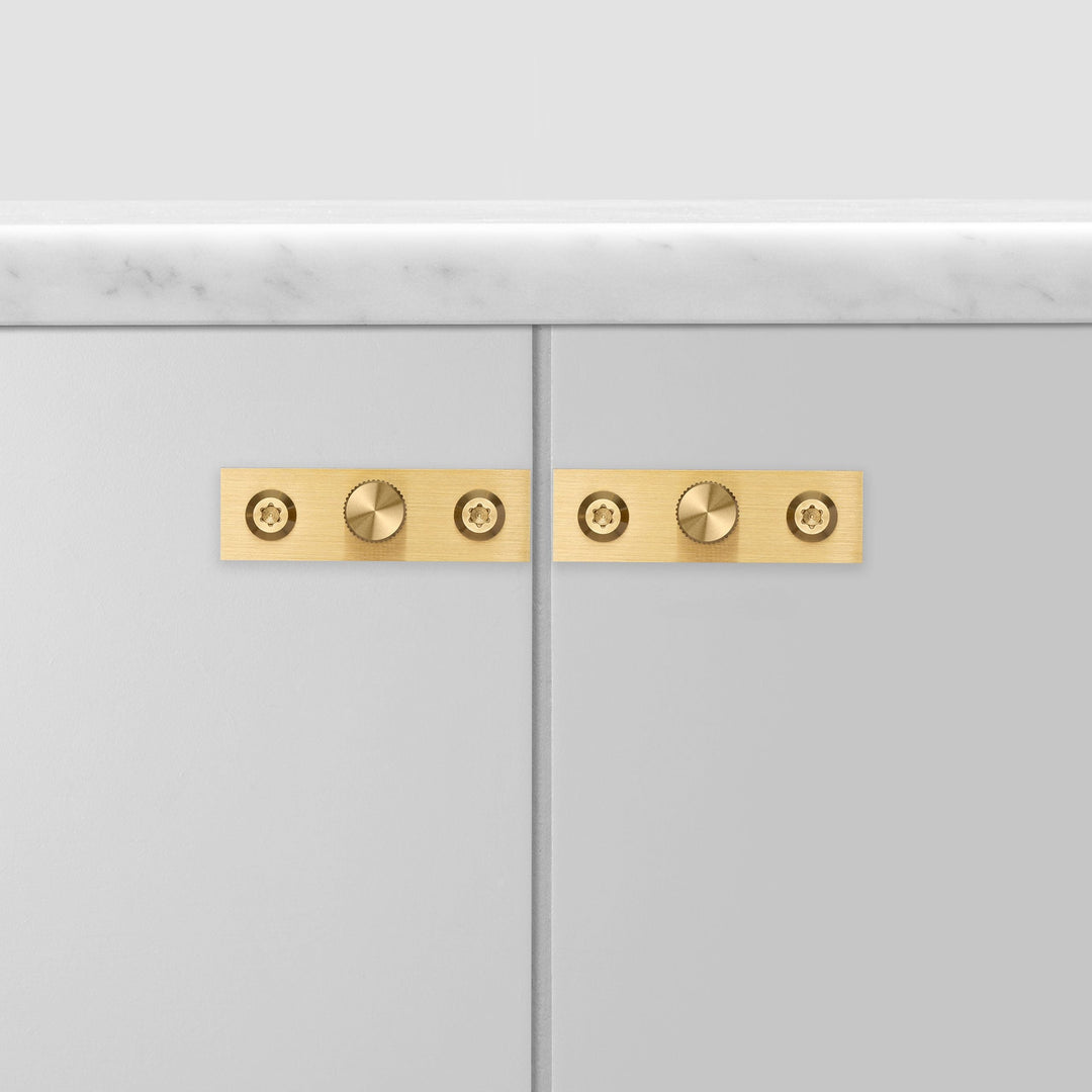 Buster + Punch Furniture Knob Plate / Linear, Set of 2 Cabinet Hardware Buster + Punch Brass