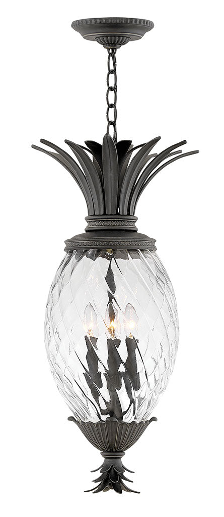 OUTDOOR PLANTATION Hanging Lantern Outdoor Hanging Lights Hinkley Museum Black 12.5x12.5x28.5