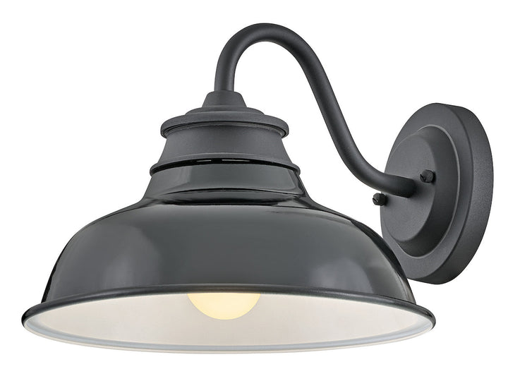 OUTDOOR WALLACE Gooseneck Barn Light Outdoor Wall Lights Hinkley