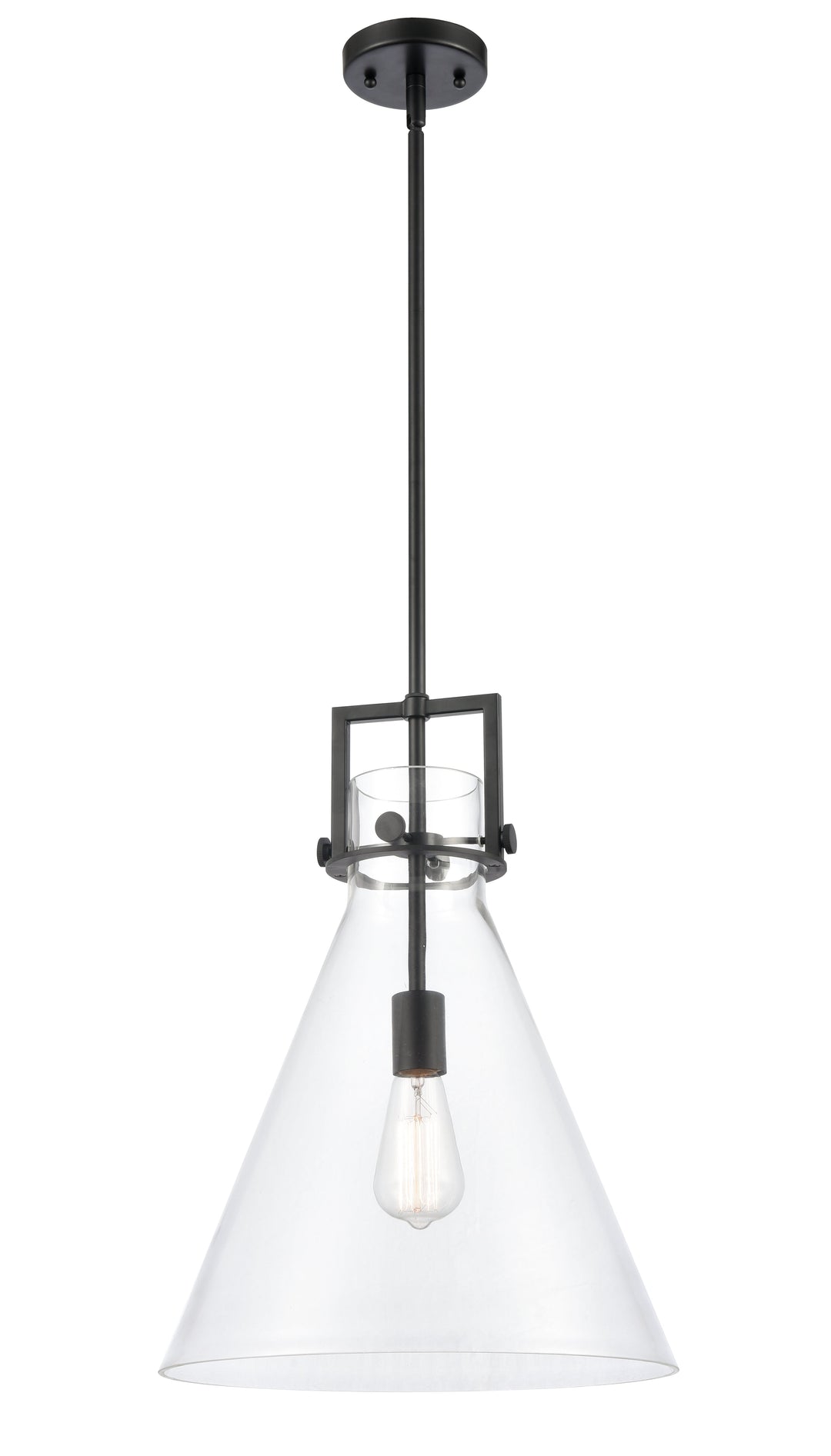 Innovations Lighting Newton Cone Pendant