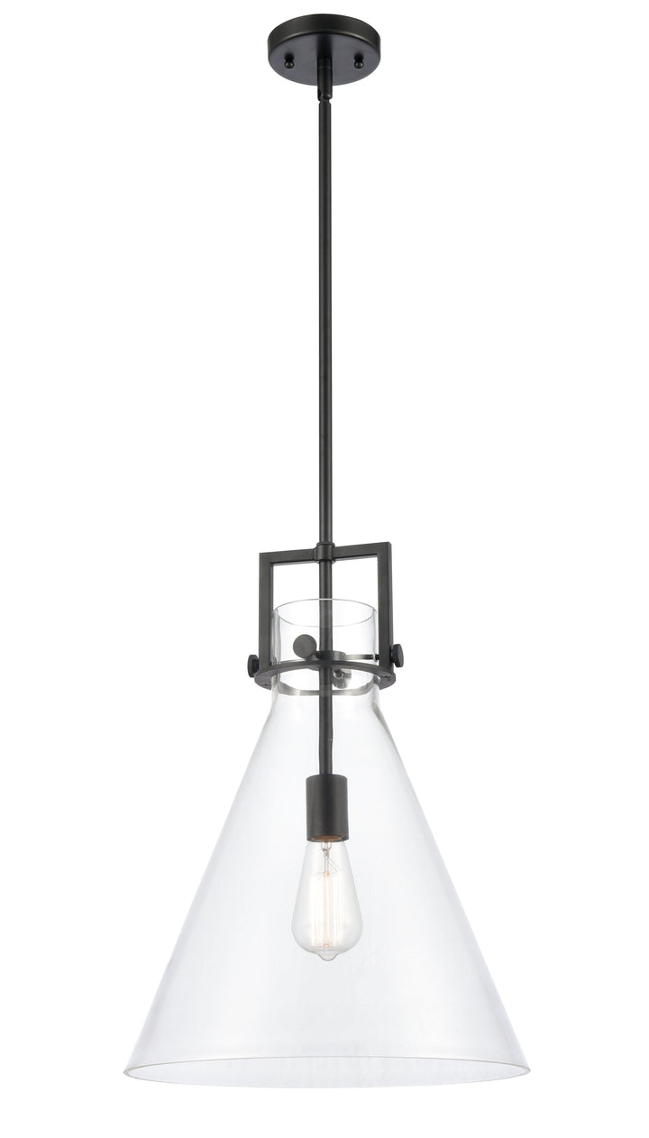 Innovations Lighting Newton Cone Pendant