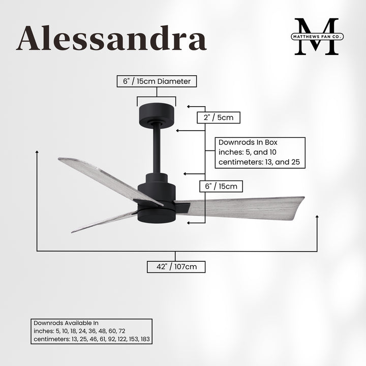 Matthews Fan Company Alessandra - 42" Outdoor, Wet-Rated Ceiling Fan