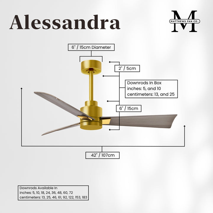 Matthews Fan Company Alessandra - 42" Outdoor, Wet-Rated Ceiling Fan