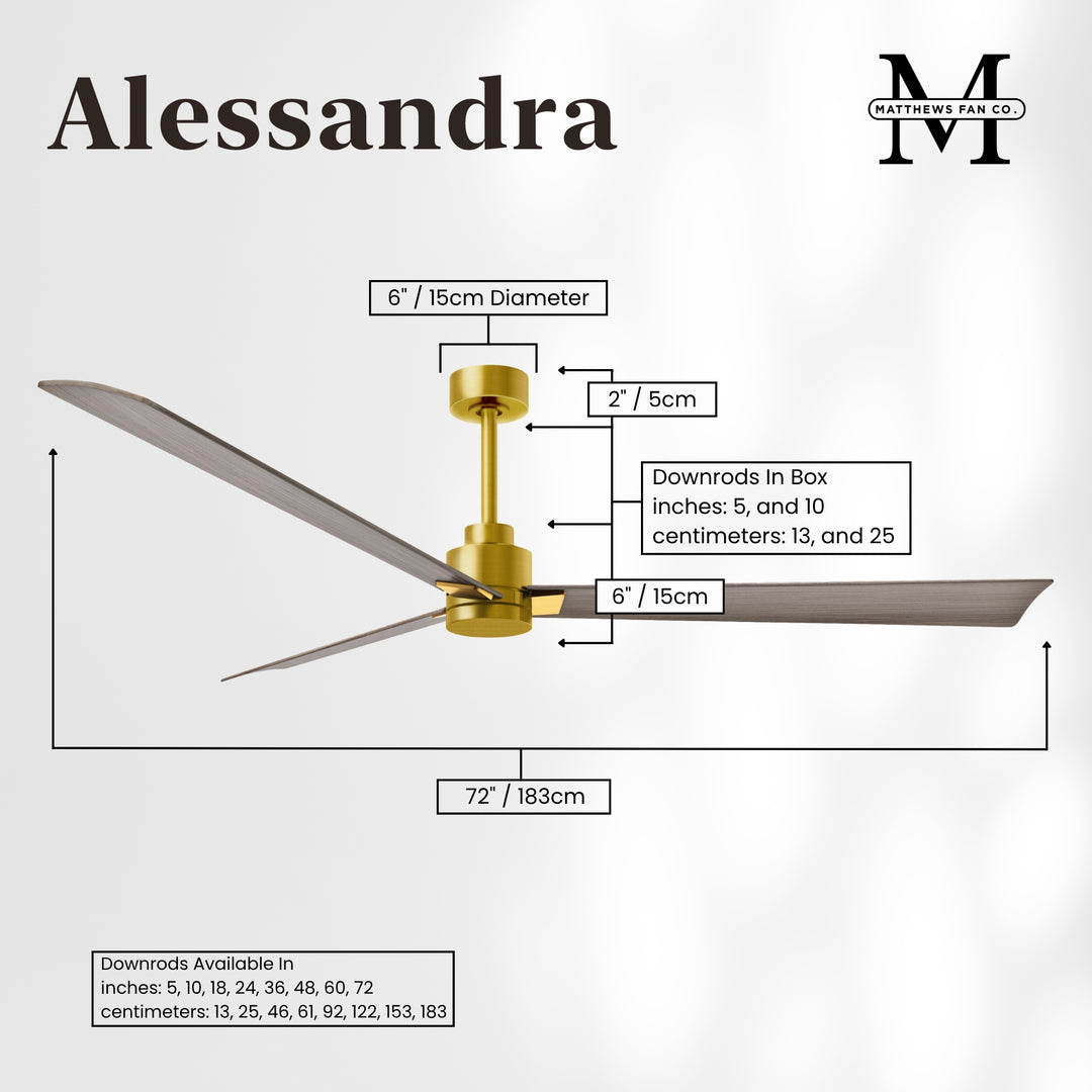Matthews Fan Company Alessandra - 72" Outdoor Ceiling Fan