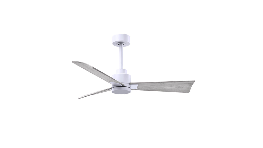 Matthews Fan Company Alessandra - 42" Outdoor, Wet-Rated Ceiling Fan
