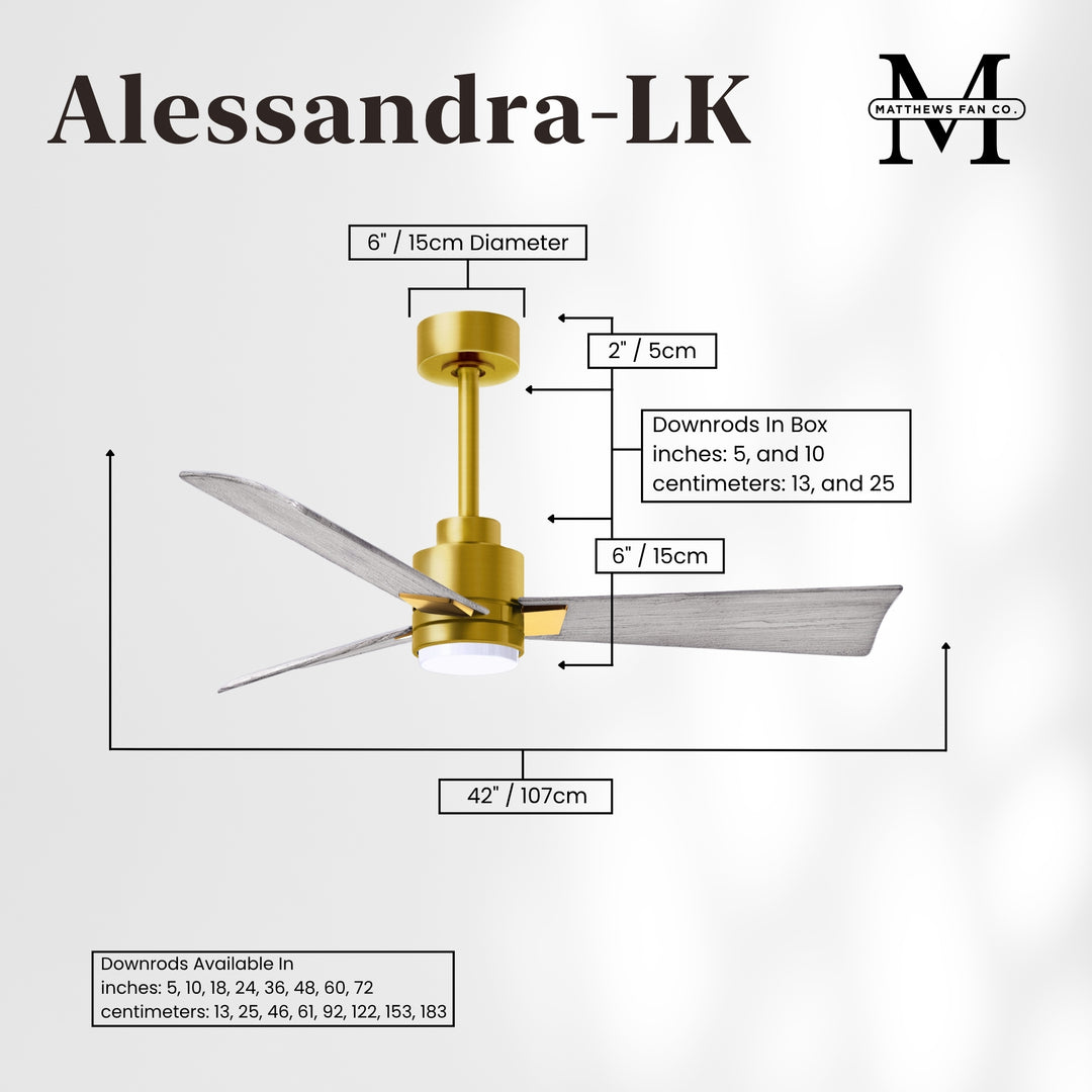 Matthews Fan Company Alessandra - 42" Outdoor, Wet-Rated Ceiling Fan
