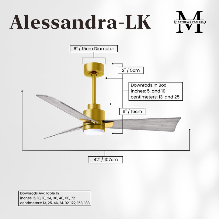 Matthews Fan Company Alessandra - 42" Outdoor, Wet-Rated Ceiling Fan