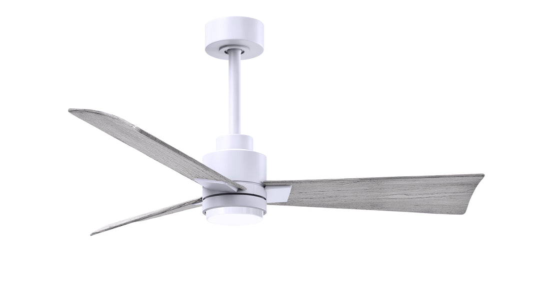 Matthews Fan Company Alessandra - 42" Outdoor, Wet-Rated Ceiling Fan