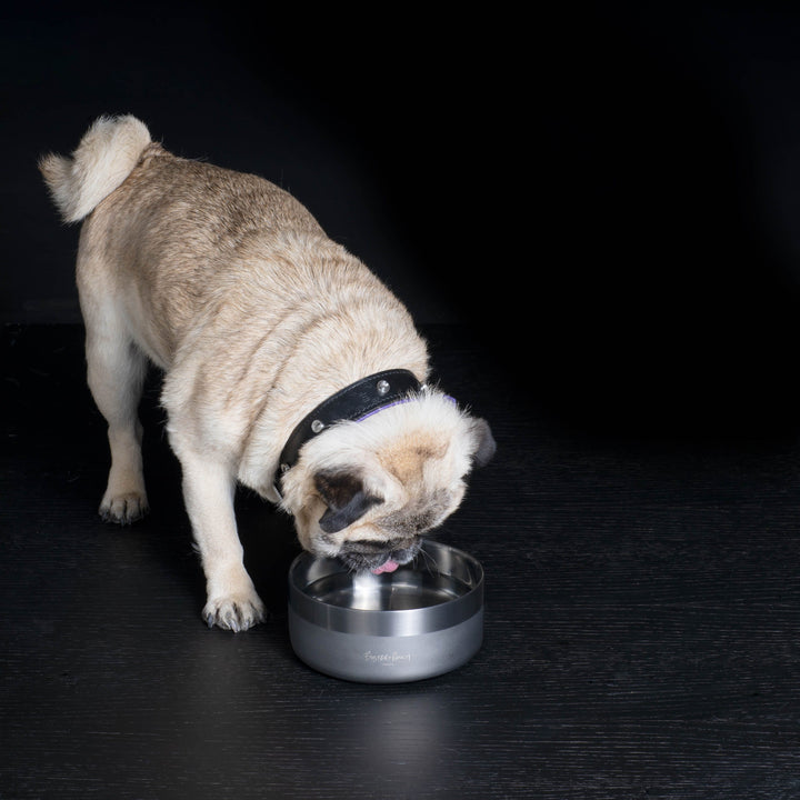 Buster + Punch Stainless Steel Dog Bowl, Brass or Gun Metal Pet Buster + Punch