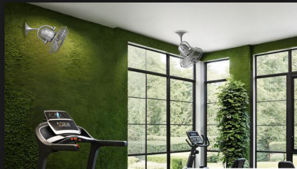 Matthews Fan Company Atlas Kaye 17" Wall/Ceiling Fan