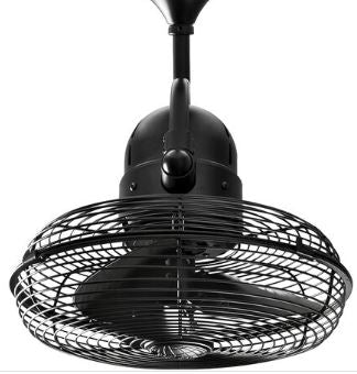 Matthews Fan Company Atlas Kaye 17" Wall/Ceiling Fan