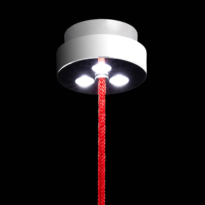 Schonbek Forever Addesion Pendant