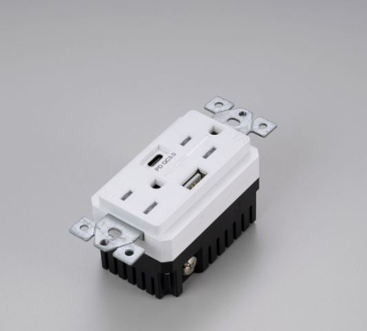 Buster + Punch DUPLEX OUTLET MODULE + 2 USB - A + C