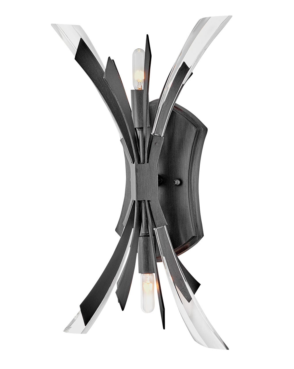 Hinkley Vida Sconce Wall Sconces Hinkley Brushed Graphite 4.75x9.0x17.25